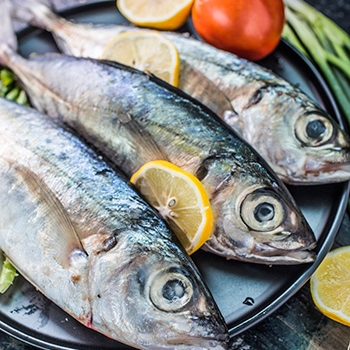 Casa de carnes Fernandes - PEIXES